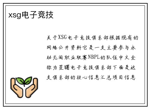 xsg电子竞技